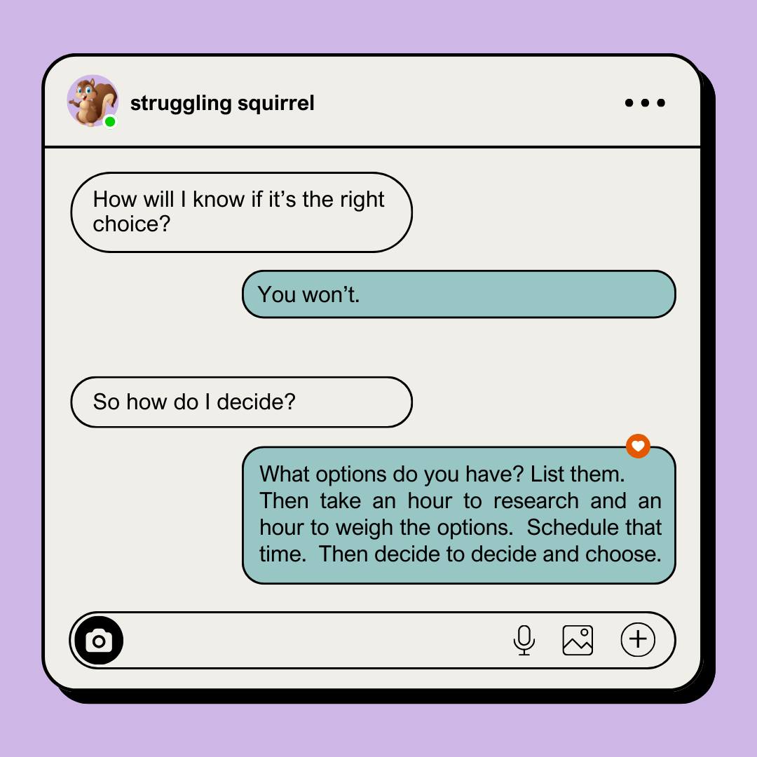 Image of a message text box of a conversation between Struggling Squirrel and a coach.  The squirrel wants to know if his choice is the "right" choice.  The coach poses the question there may be no right choices.